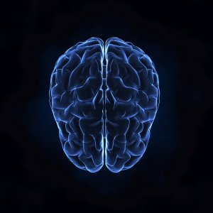 Brain Injury